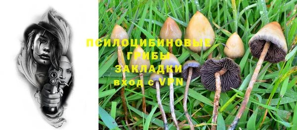 первитин Заволжье